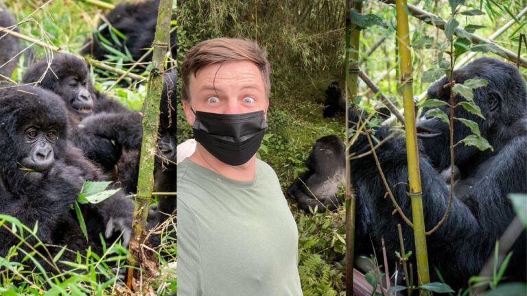 Gorilla Trekking in Volcanoes National Park, Rwanda – My Ultimate Guide